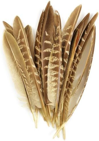 Touch of Nature 38192 Pheasant Wing Quill, 7-Inch | Amazon (US)