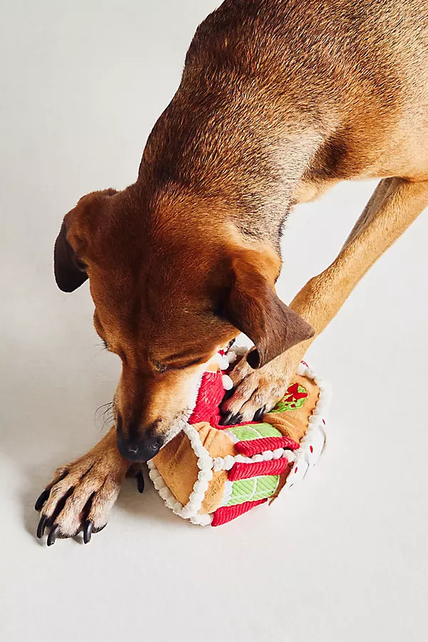 Christmas Gingerbread Plush Dog Toy | Anthropologie (US)