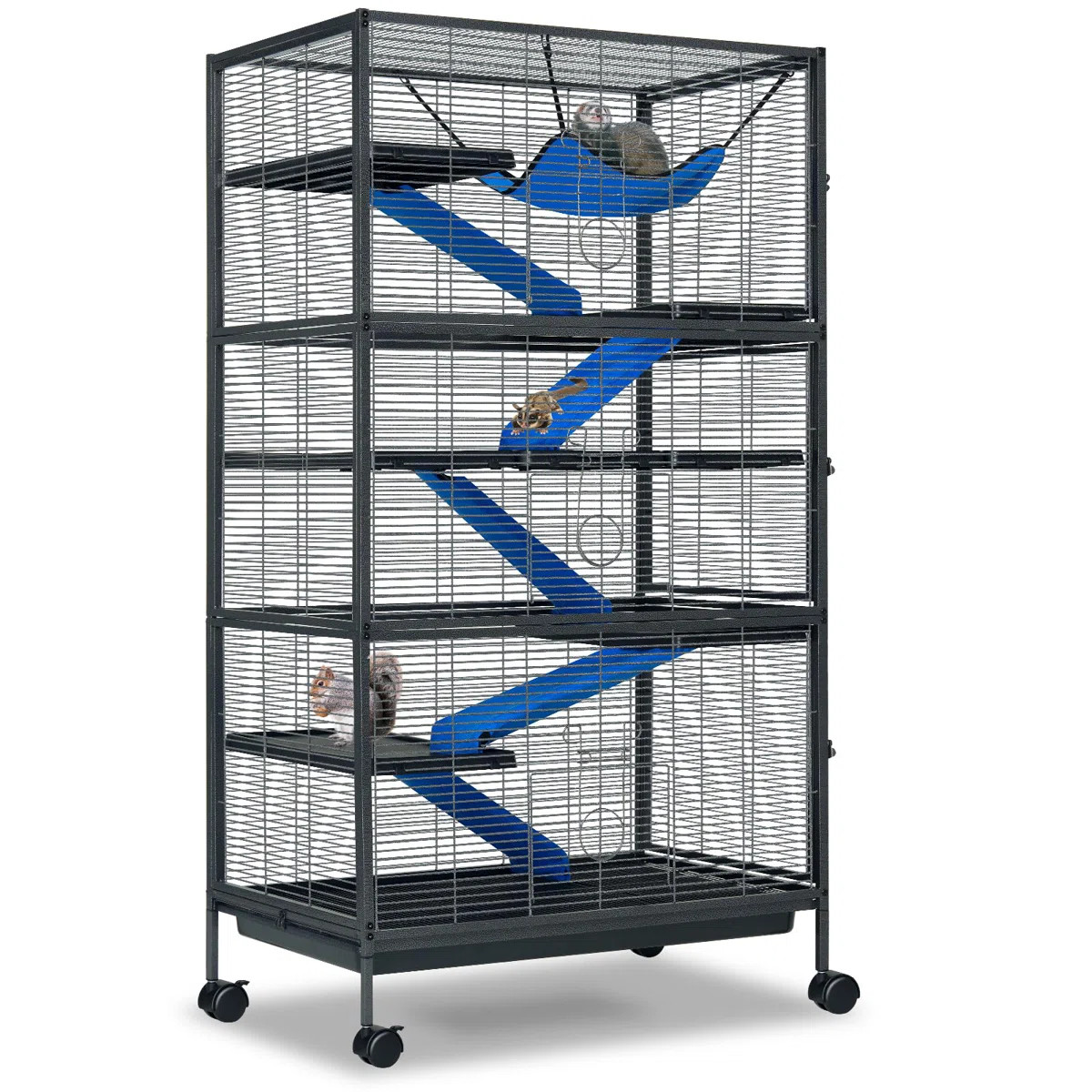 Tucker Murphy Pet™ | Wayfair North America