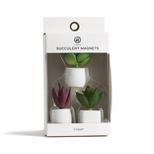 3ct Succulent Plant Magnets - U-Brands | Target