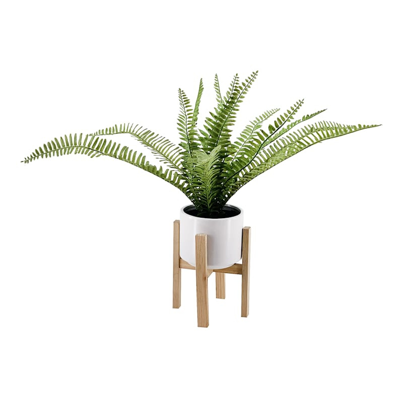 Fern in White Pot with Stand, 18" | At Home