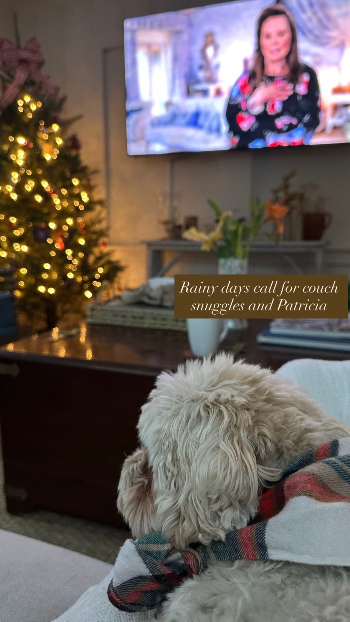 Rainy days call for couch snuggles and Patricia 

#LTKHome #LTKdayinmylife #LTKHoliday