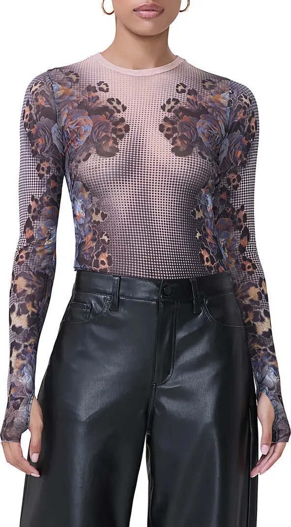 Kaylee Printed Mesh Top | Nordstrom