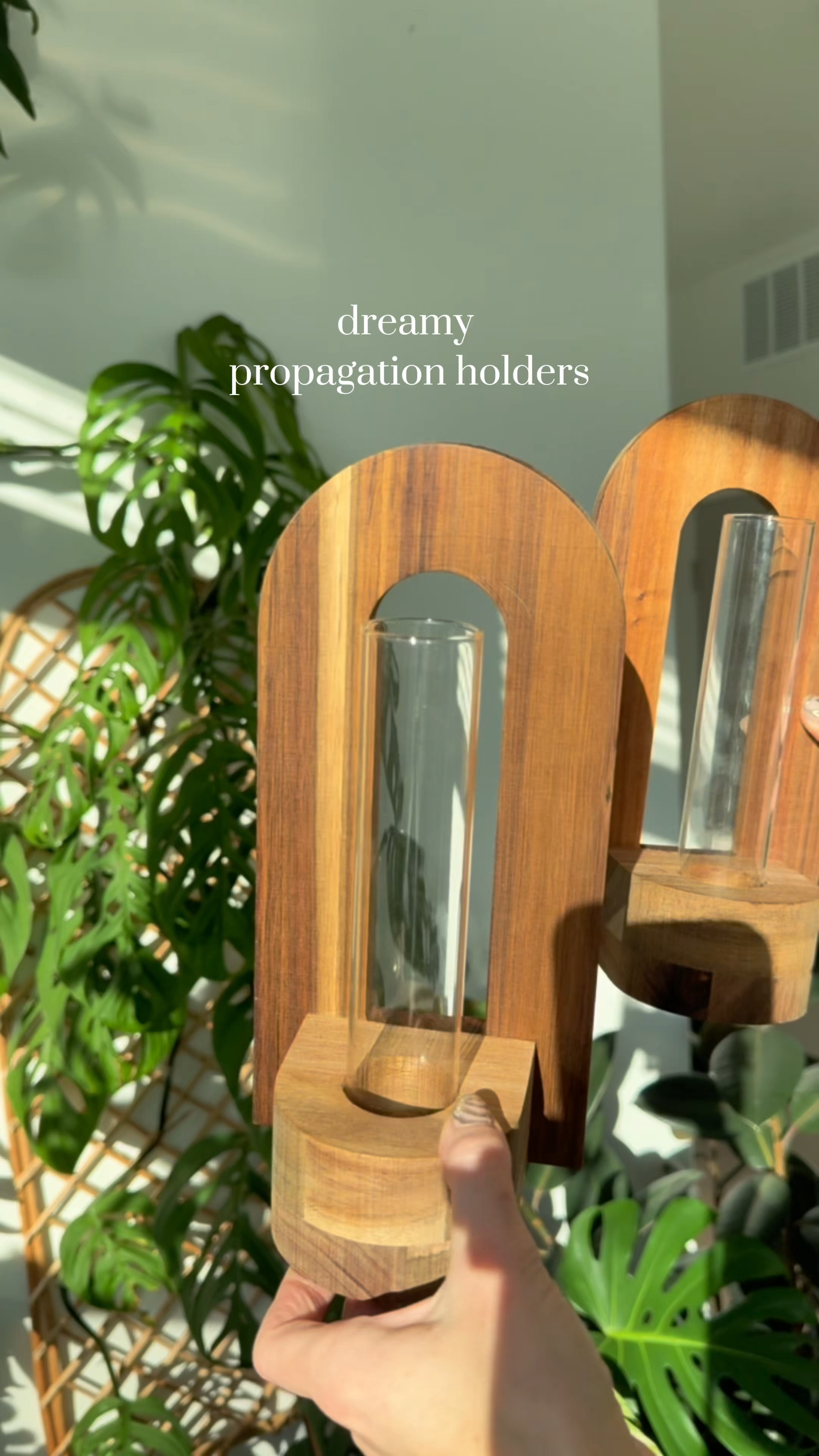 Propagation holders 

#LTKU #LTKHome #LTKFindsUnder100