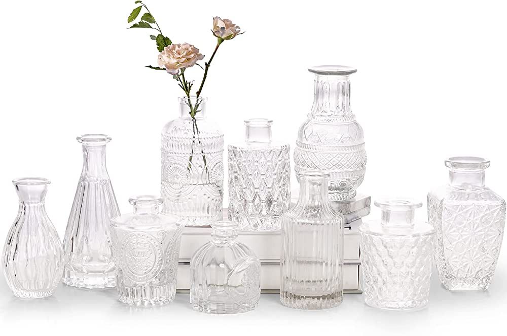 Glass Bud Vase Set of 10 - Small Vases for Flowers, Clear Bud Vases in Bulk, Cute Glass Vases for... | Amazon (US)