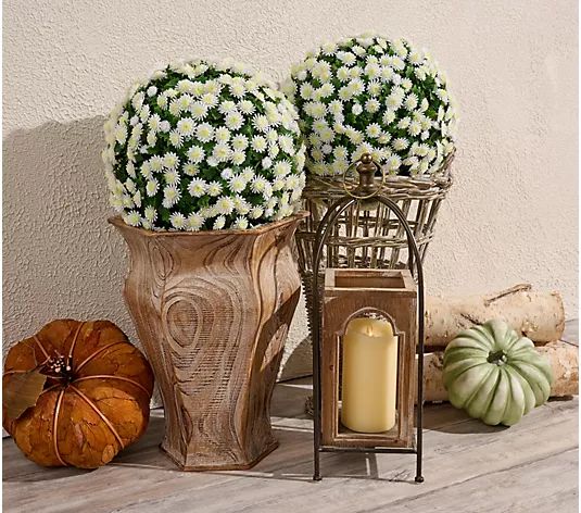 Wicker Park Set of 2 Oversized Harvest Faux Mum Spheres - QVC.com | QVC