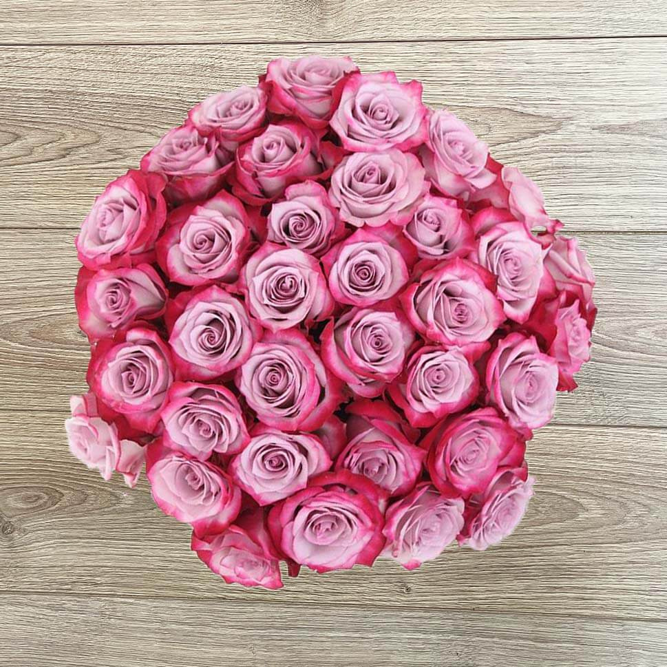 Purple Love Rose Bouquet | Gradient Pink Roses – Rosaholics | Rosaholics (US)