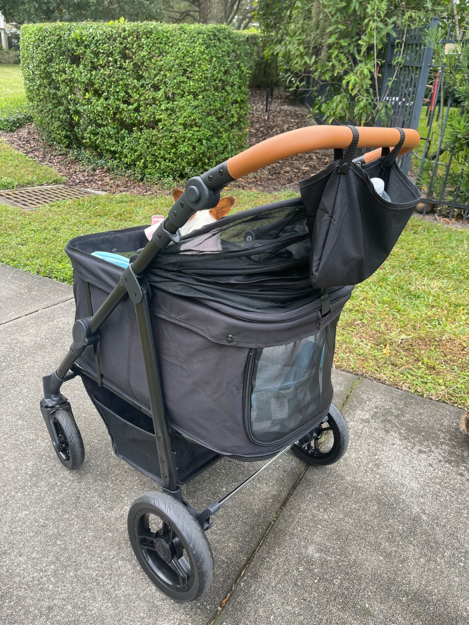 Best dog stroller on the markett

#LTKFindsUnder100 #LTKActive #LTKPets