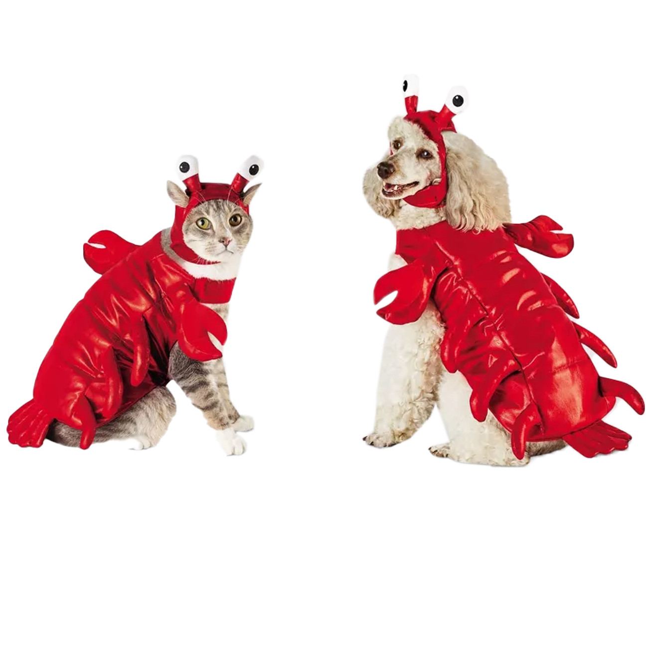 Hyde & EEK! Boutique Lobster Dog and Cat Costume - Small | Walmart (US)