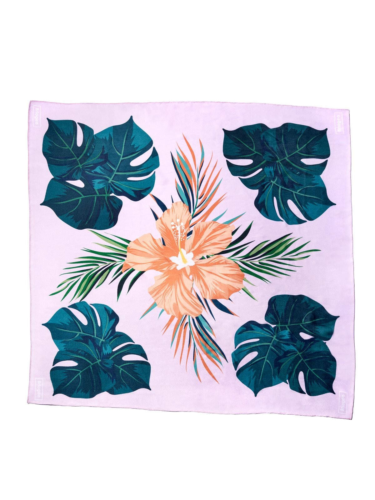 109002-1361726505067-en_US | Briogeo