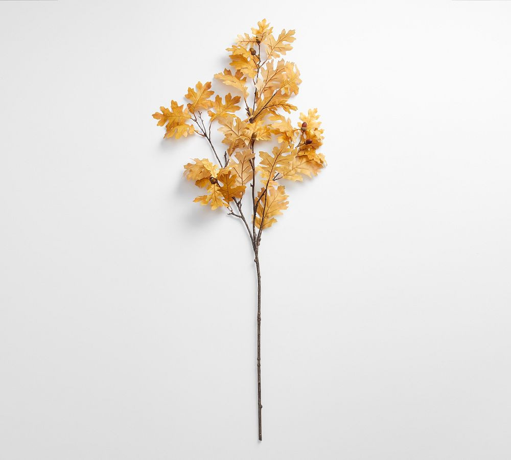 Faux Golden Oak Branch With Acorns | Pottery Barn (US)