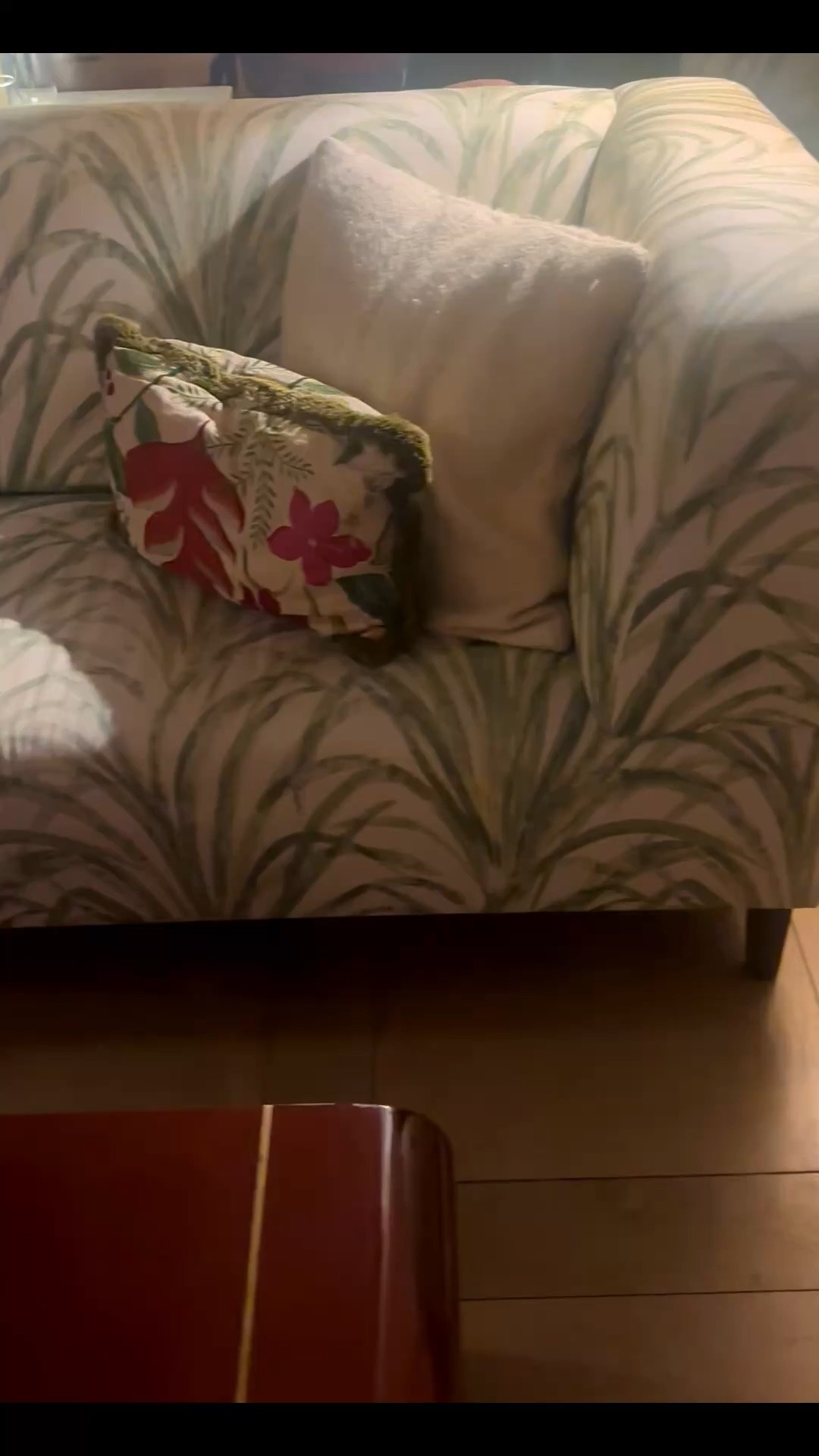 Botanic-style loveseats are having a moment right now — an easy way to bring a piece of nature into your home. The soft pattern feels fresh, a little fashion-forward, and instantly livens up a neutral space without trying too hard.

#loveseat #sofa #botanicprint #accentchair #livingroom #homedecor #coffeetable #throwpillow #candleholder #tablescape

#LTKFestival #LTKHome #LTKSaleAlert