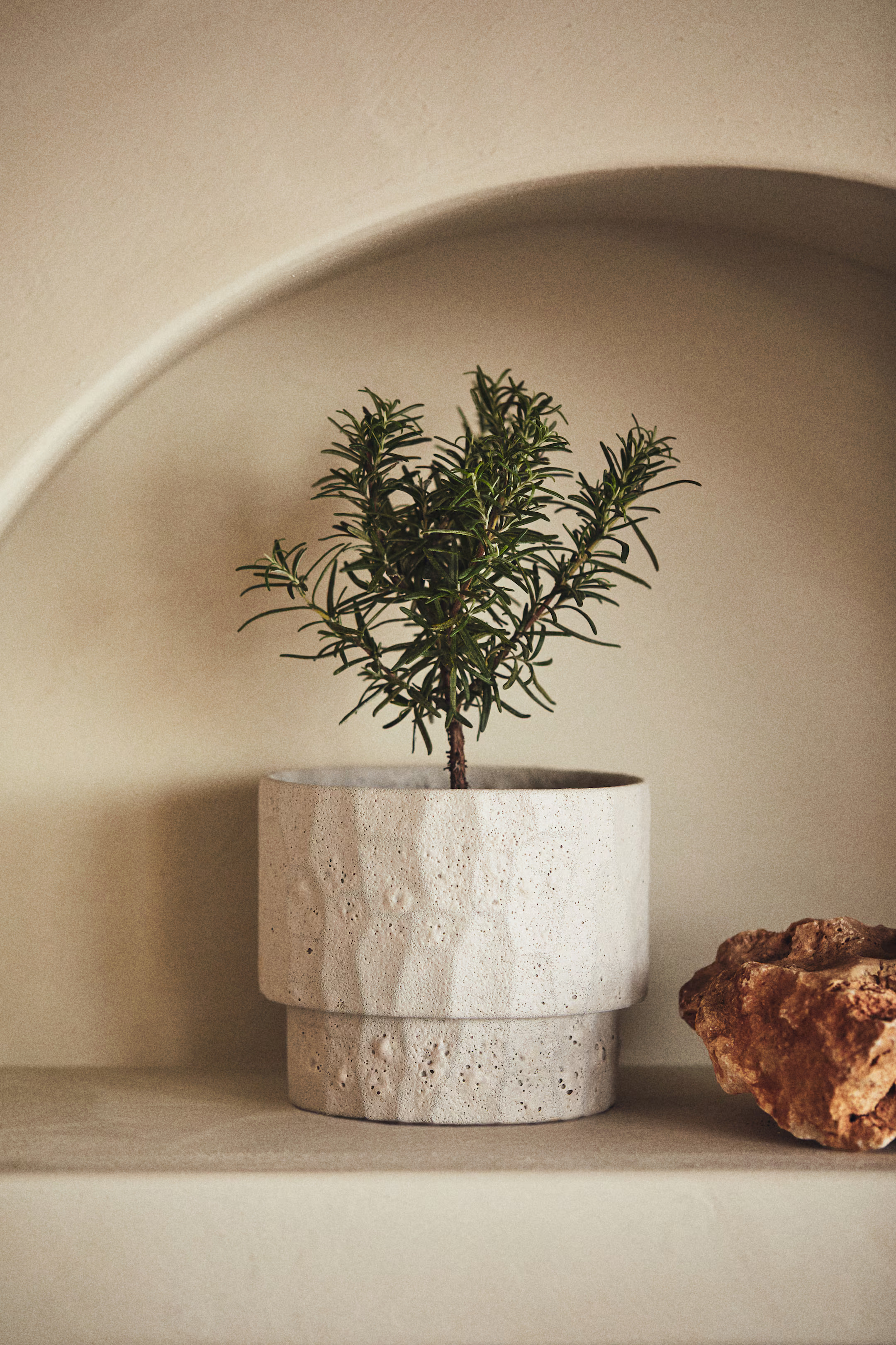 Terracotta Plant Pot | H&M (US + CA)
