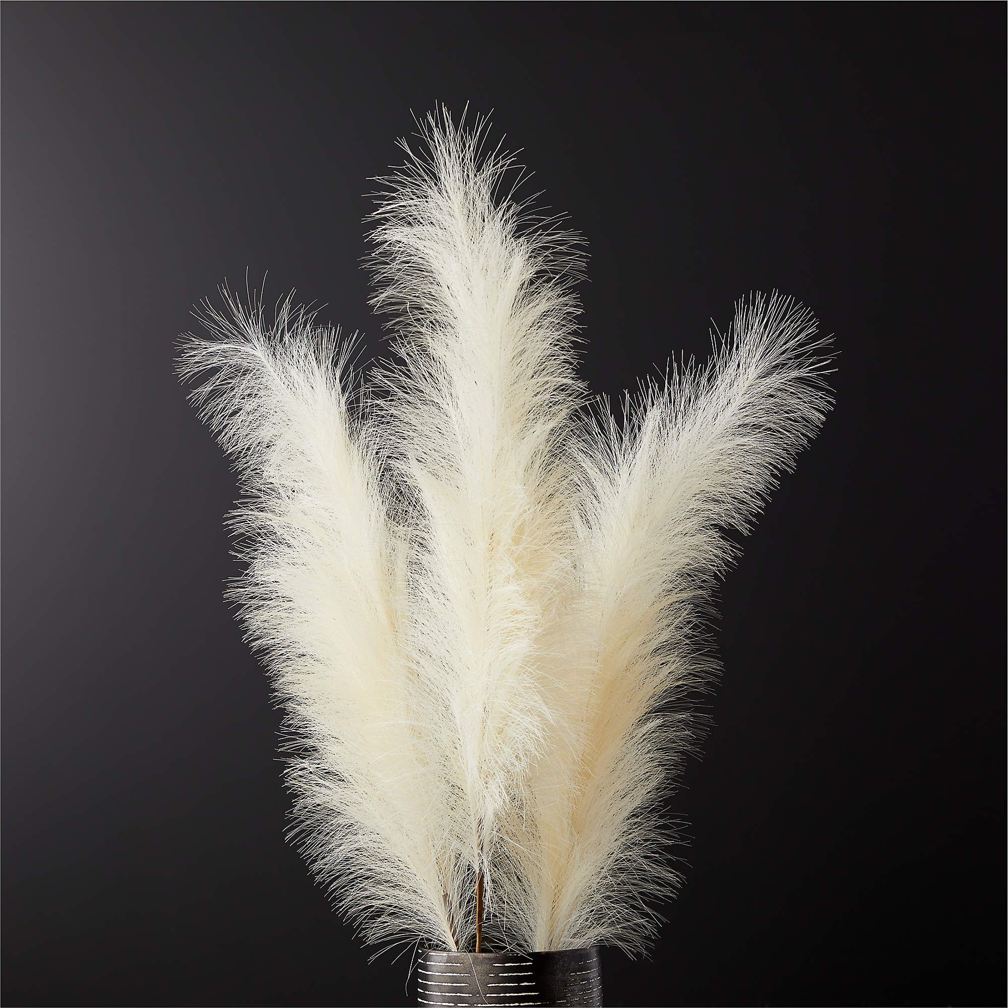 Faux Pampas Grass Taupe Stem 39" Set of 3 + Reviews | CB2 | CB2