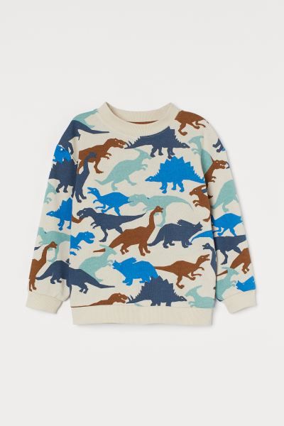 Sweatshirt | H&M (US + CA)