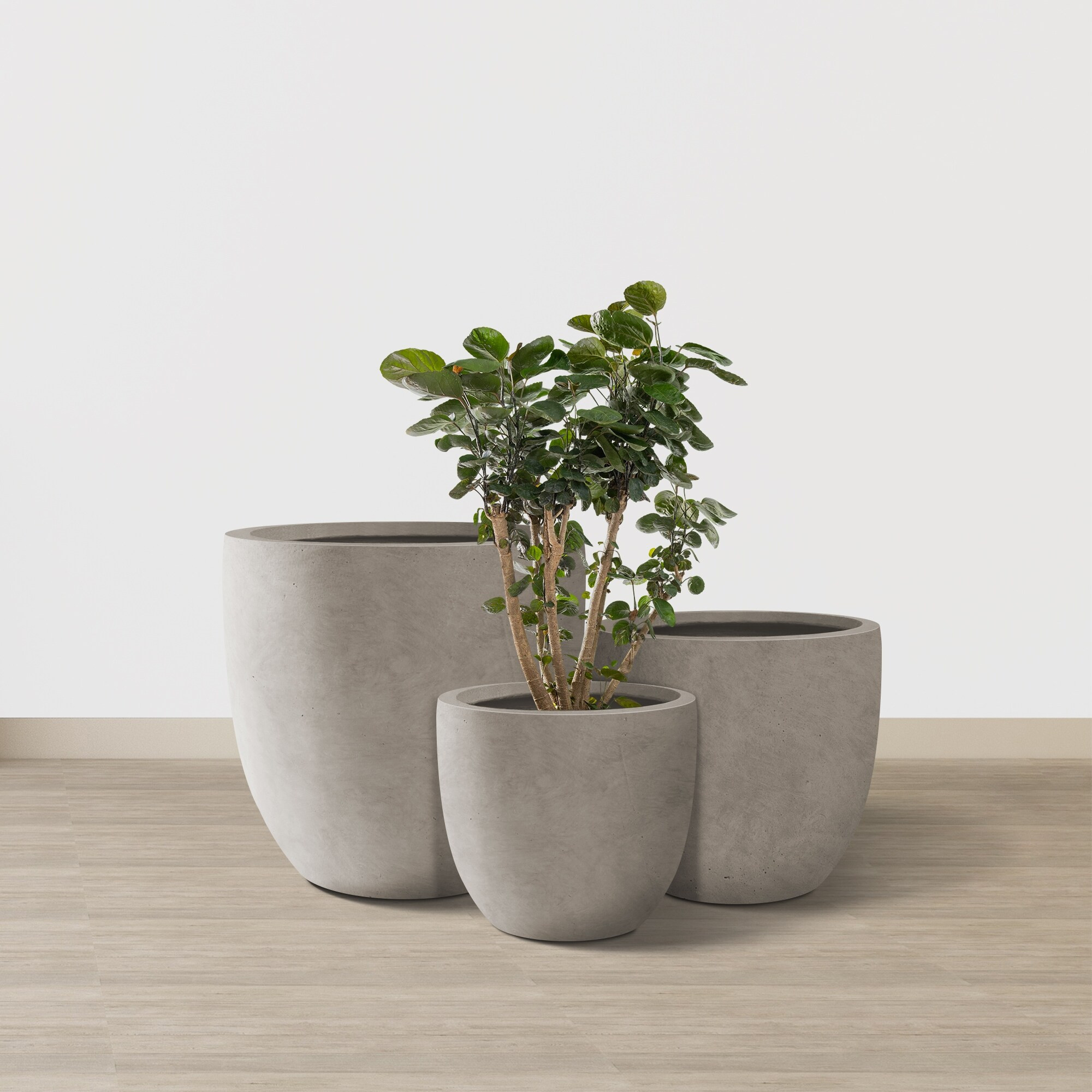 Kante 20", 16.5", 13.3"W Weathered Finish Round Concrete Planters (Set of 3), Outdoor/Indoor Decorative Pots w/ Drainage Hole | Bed Bath & Beyond