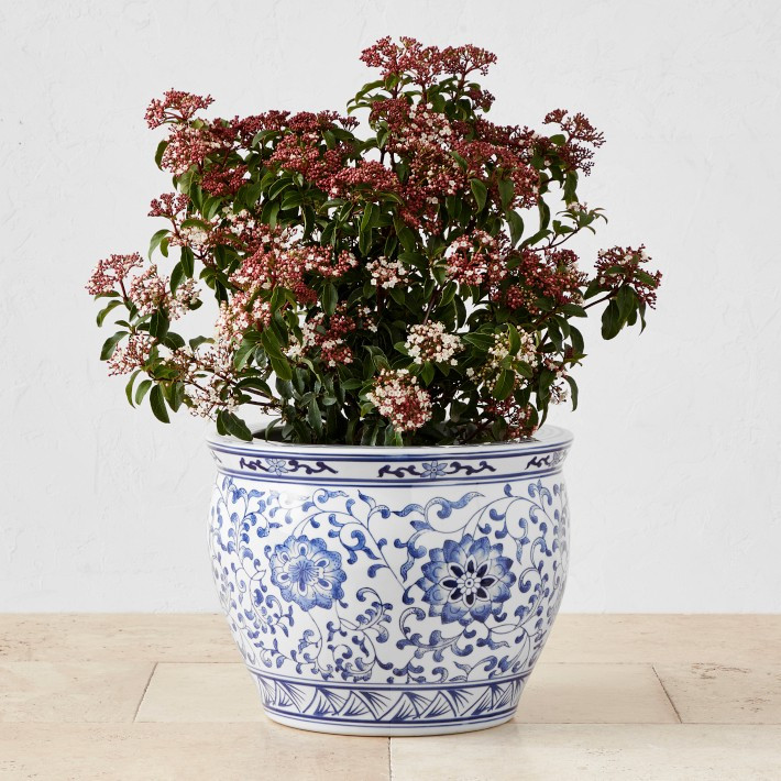 Blue & White Ceramic Planter, Extra Large | Williams-Sonoma