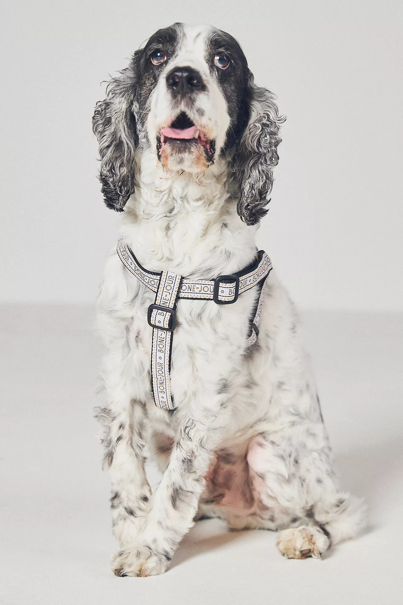 Bistro Tile Dog Harness | Anthropologie (US)