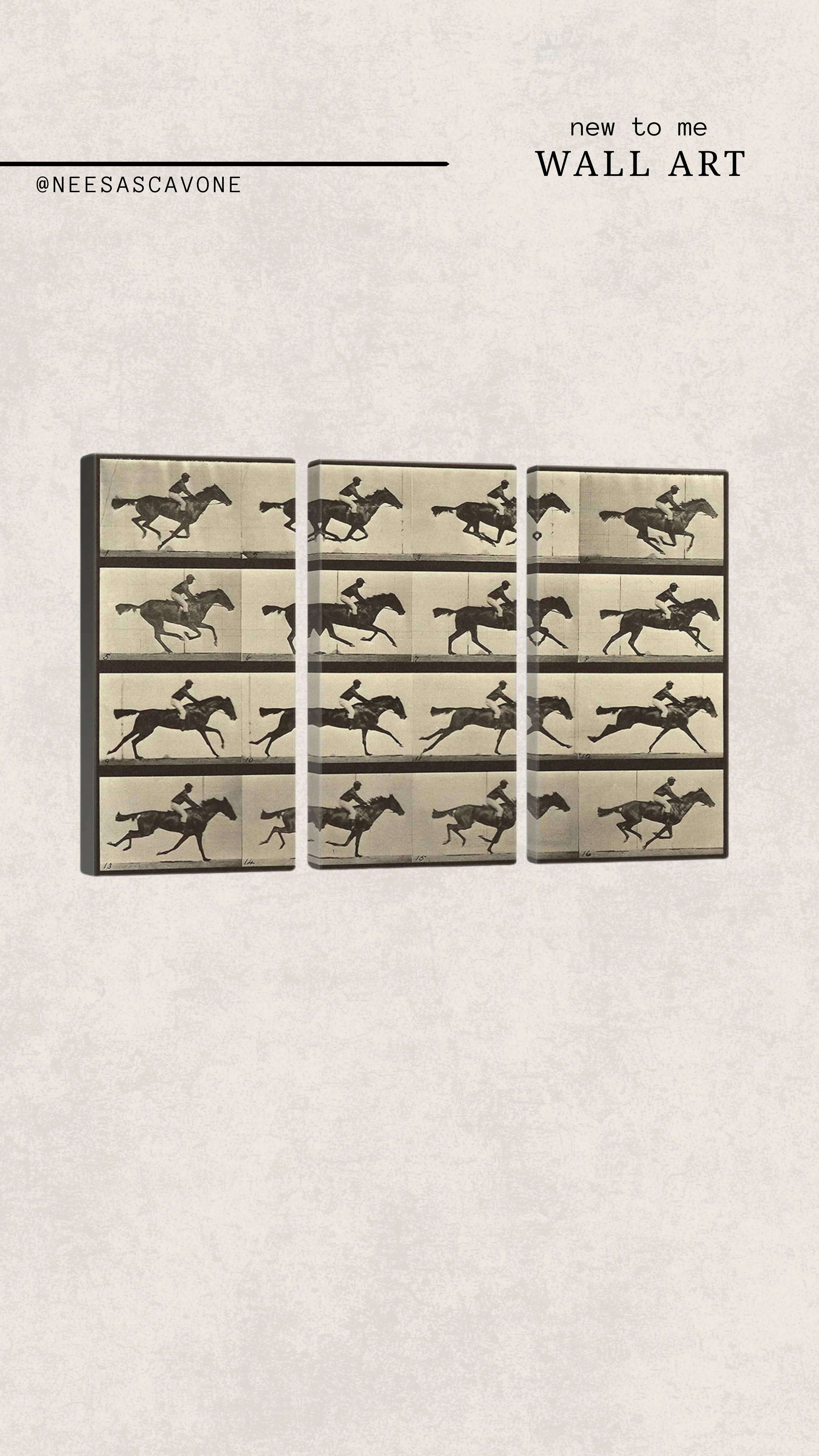 New wall art moment and I’m OBSESSED 🤎 this vintage-inspired horse print adds the perfect neutral, timeless vibe to any space. It instantly elevated the room and gave it that cozy, curated feel without trying too hard. If you’re updating your home decor or looking for affordable wall art that actually looks high-end… this is it.

#homedecorideas #wallartdecor #neutralhome #moderntraditional #cozyhomevibes #interiorstyling #livingroomdecor #entrywaydecor #vintageinspired #gallerywallideas #homeaesthetic #ltkhome #ltkstyle #amazonhomefinds #affordabledecor #interiordesignideas #homedecorinspo #decorfinds #minimalhome #styledhome 

 

#LTKdayinmylife #LTKstorytime #LTKHome