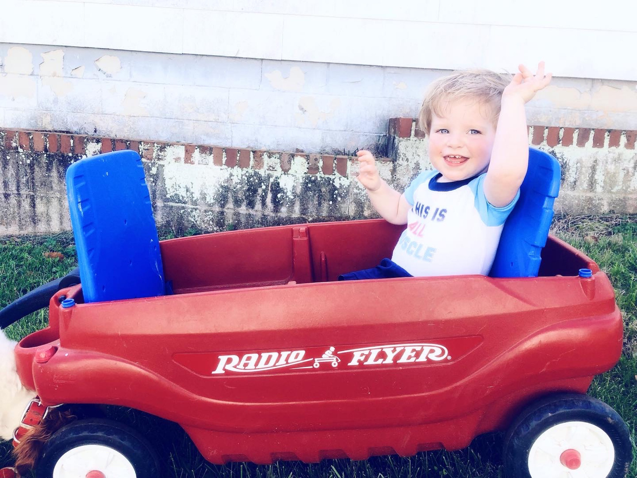 A little #sundaysweetness for your feed 🥰🫶🏽

Our baby boy in his little red wagon… just doesn’t get much cuter than this!! 🥹♥️ We sure do love our sweet little country boy and his love for being outside - at all times!! 👼🏼🌾🐶 #ourcountryboy #livinhisbestlife 

…

#emilysayswes #judsoncarpentermabry #twentyonemonthsold #twentyonemontholdbaby #twentyonemontholdbabyboy #judsonmonthbymonth #sweetjudson #oursweetboy #oneyearold #oneyearoldbaby #oneyearoldbabyboy #oneyearoldboy #gratefulmotherhood #motherhoodblog #motherhoodblogger #mommyblogger #marchmemories #thesearethedays #chasingdreams #oldfamilyfarmhouse #makingmemories #homesweethome #newseasonnewadventures #liketkit #LTKfamily #LTKbaby #LTKSpring @shop.ltk

#LTKfamily #LTKhome #LTKbaby