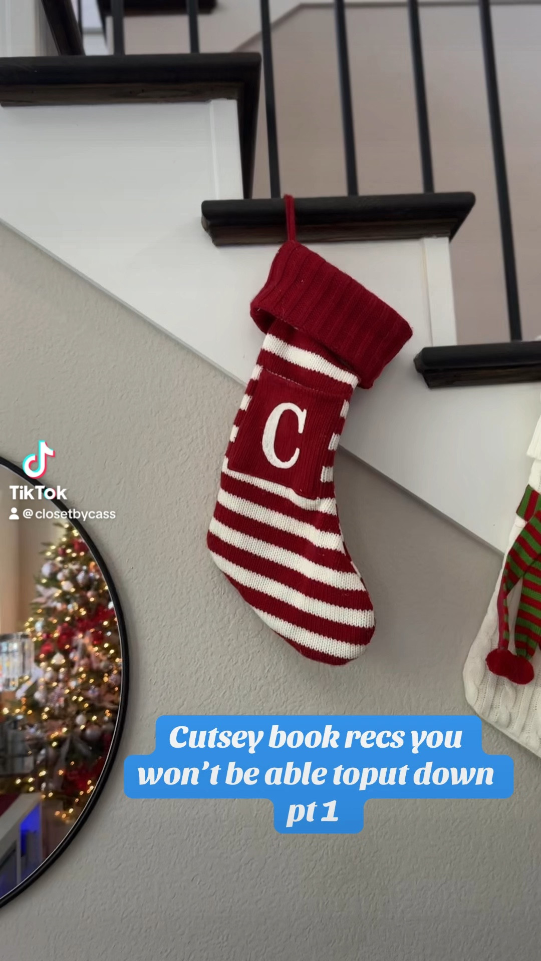 Cute easy read book recs to take on your holiday vacation! 

#LTKHoliday #LTKGiftGuide #LTKTravel