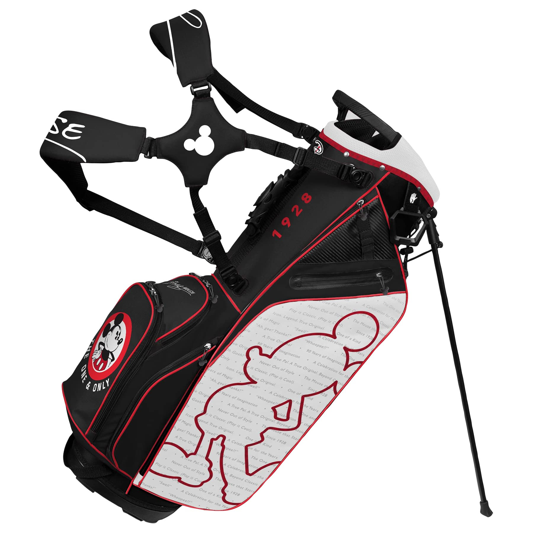 Team Effort Caddie Carry Hybrid Bag | Amazon (US)