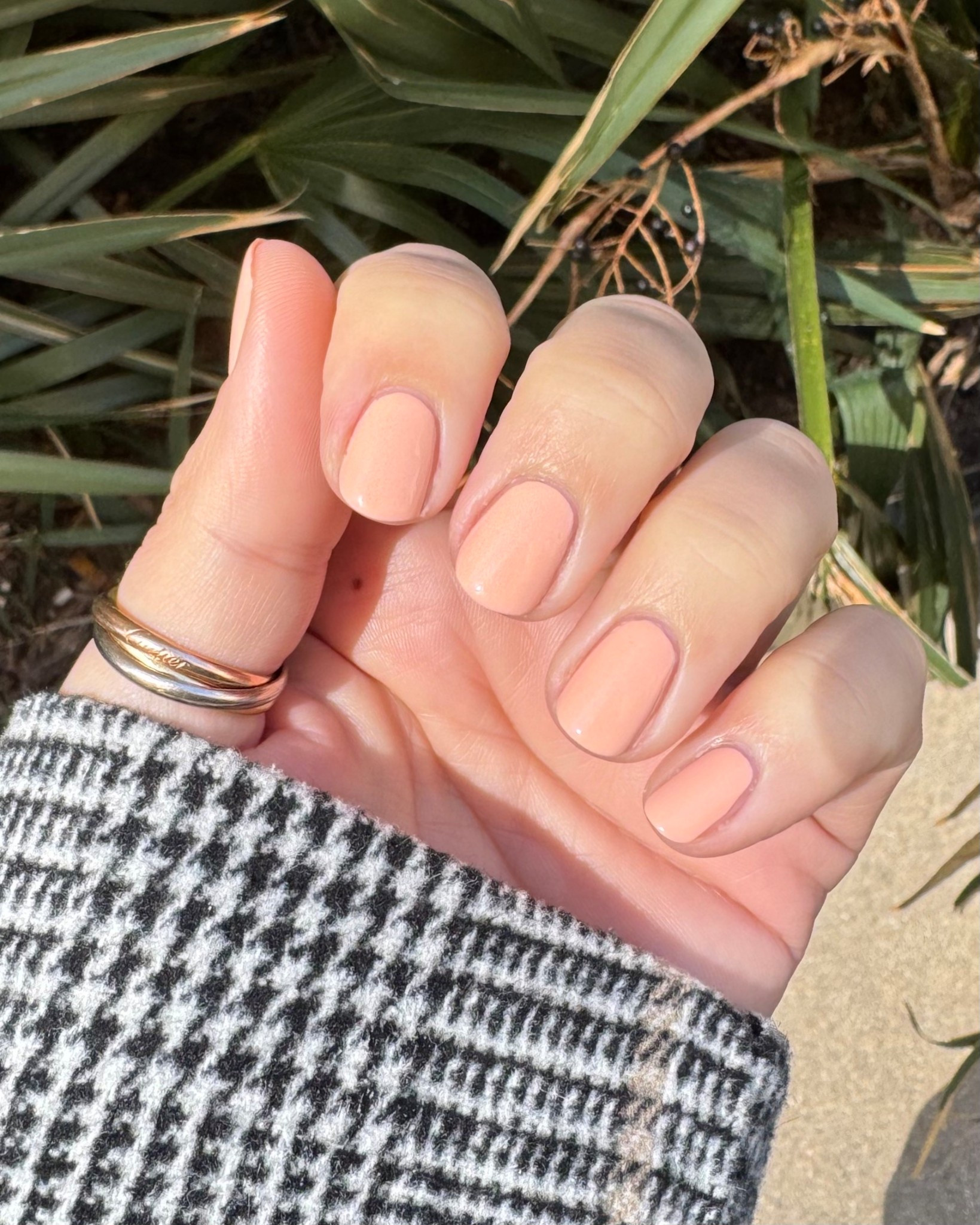 Still digging pastel ish shades 🫶🏼

#LTKselfcare #LTKBeauty