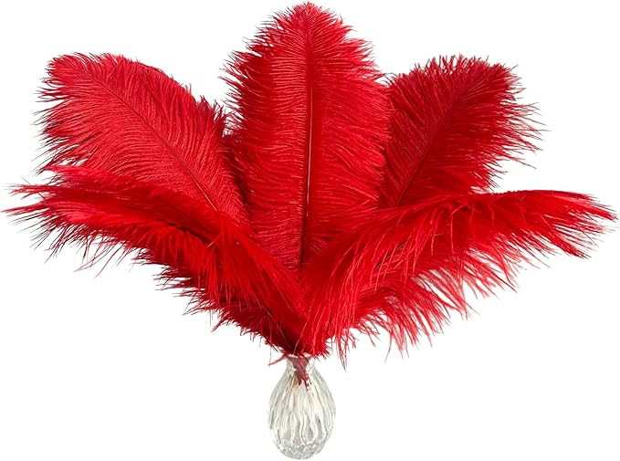 Piokio 20 pcs Red Ostrich Feathers 12-14 inch(30-35 cm) Bulk for Wedding Party Centerpieces and D... | Amazon (US)