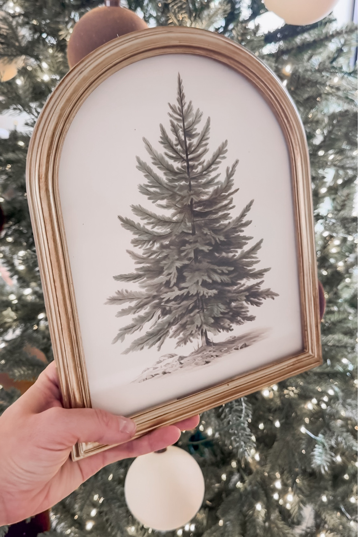 Christmas tree | framed tree | amazon | Christmas decor

#LTKCyberWeek #LTKHoliday #LTKSeasonal
