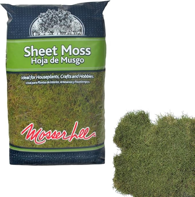 Mosser Lee ML0480 Natural Green Sheet Moss – 520 sq. in. – Organic Decorative Moss for Terrar... | Amazon (US)