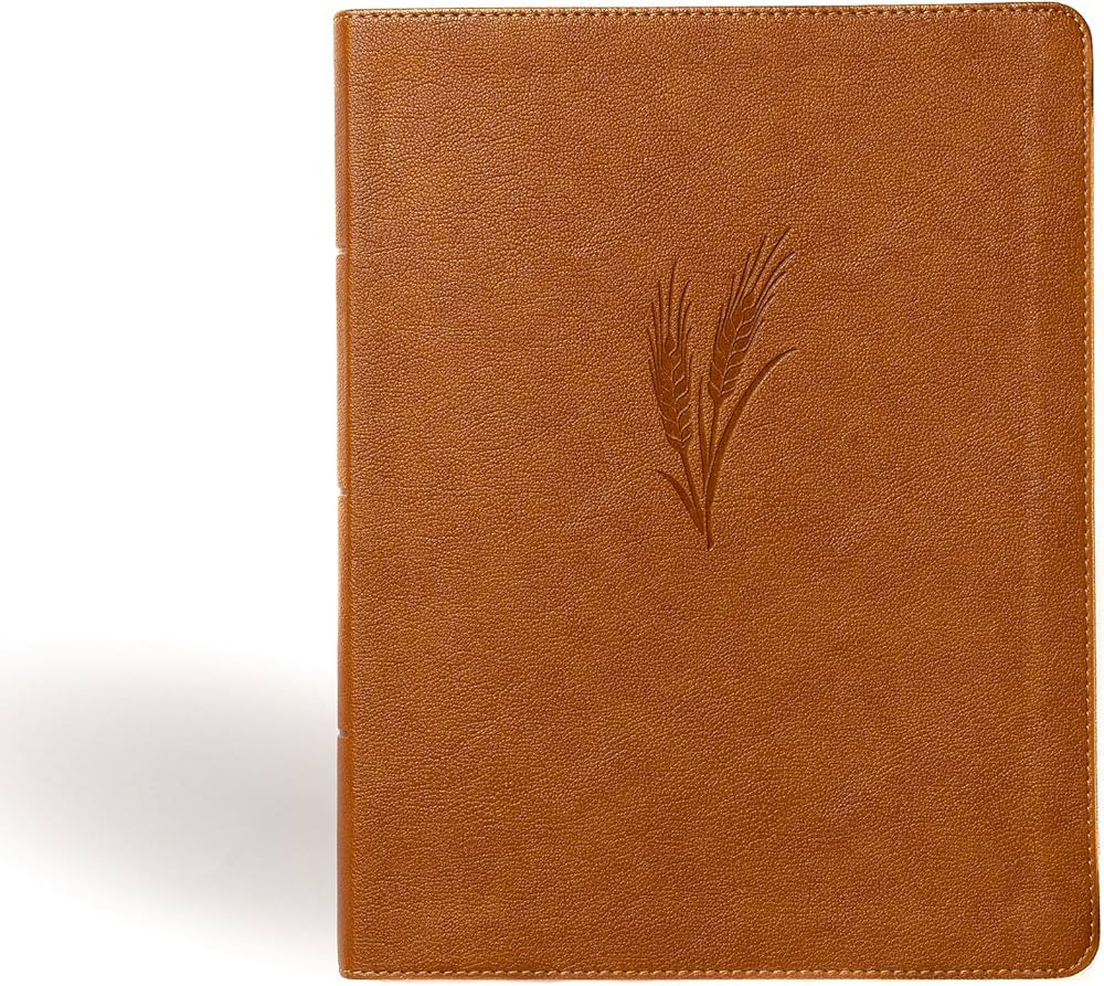 CSB Notetaking Bible, Large Print Edition, Camel LeatherTouch, Black Letter, Wide Margins, Journa... | Amazon (US)