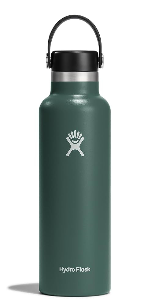 Hydro Flask Stainless Steel Standard Mouth Water Bottle with Flex Cap and Double-Wall Vacuum Insu... | Amazon (US)