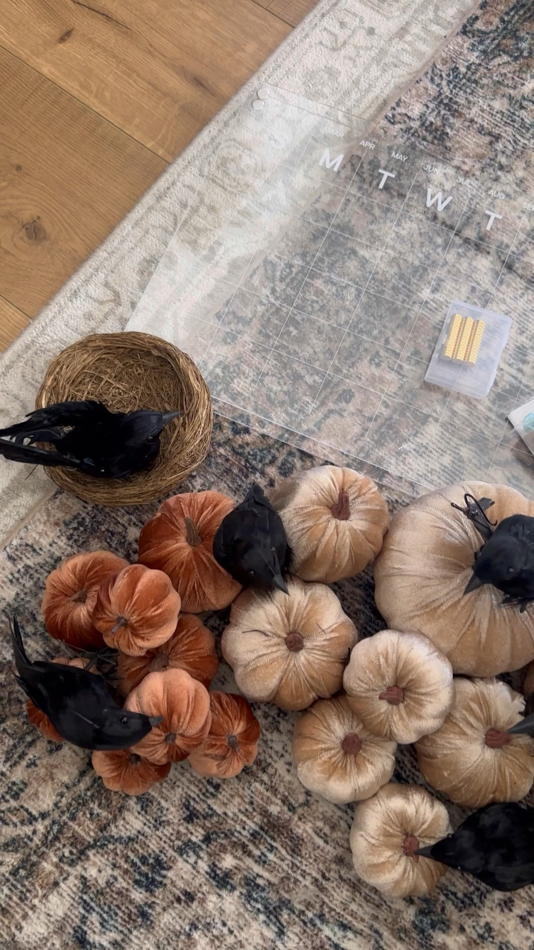 Shop my latest Amazon haul!! 

Velvet pumpkins, feathered crows, Halloween decor, fall decor, magnetic calendar board, magnets

#LTKhome #LTKsalealert #LTKfindsunder50