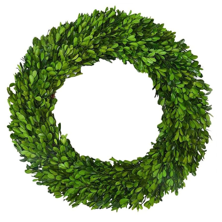 Boxwood Wreath X-Larger 22 inch Preserved Nature Boxwood Wreath Home Decor Stay Fresh for Years f... | Amazon (US)