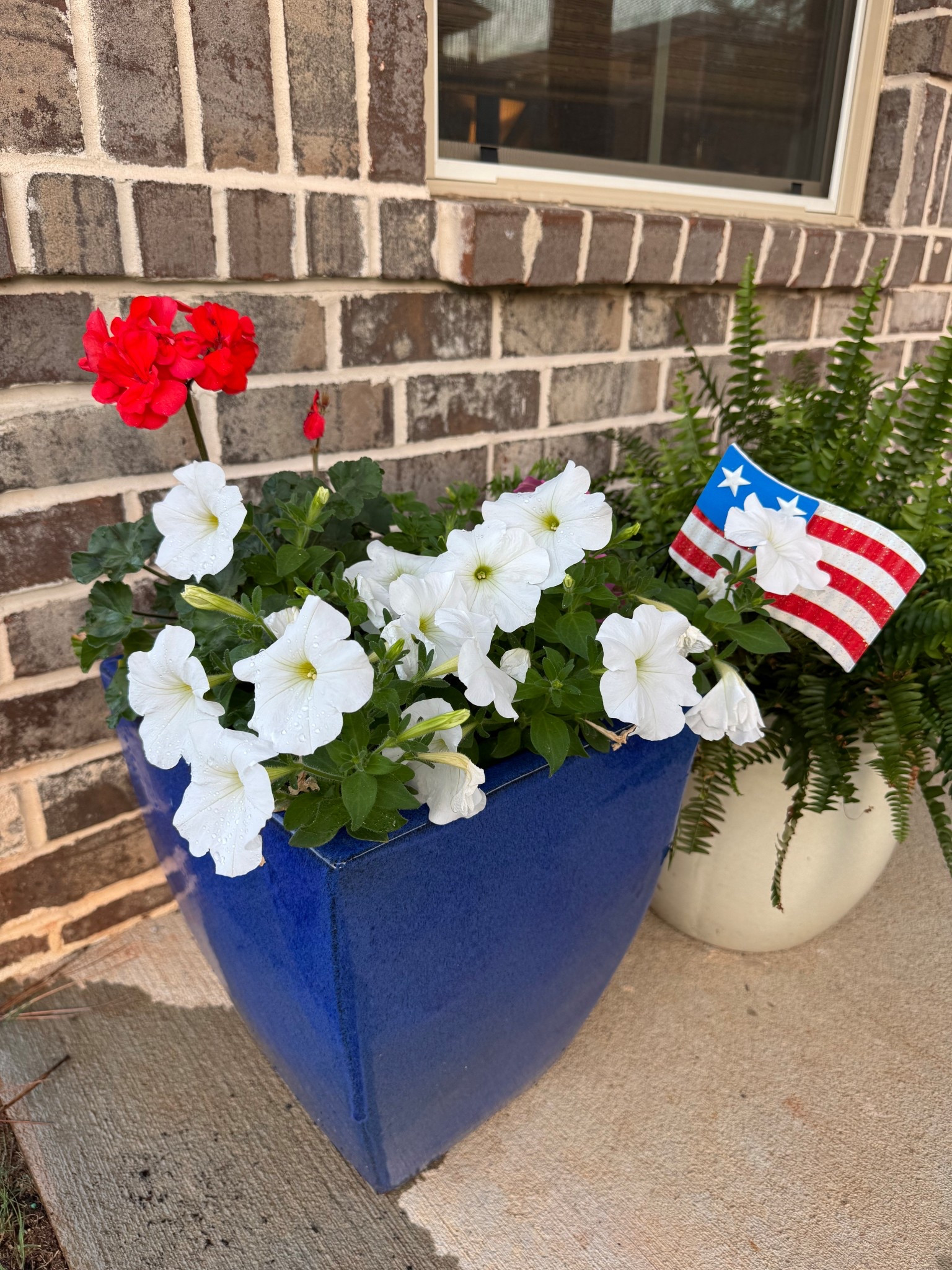Found the cutest little American flag plant stakes! 

#LTKHome #LTKSeasonal