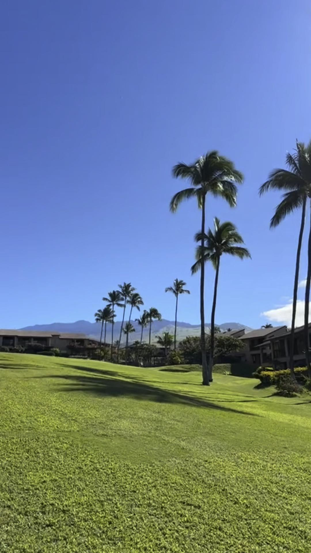 Linking Hawaii vacation must haves! Headed to Maui in 2025?? I’ve sent too many DM’s answering questions about our trips, so here’s a blog post about our vacation to the island! https://amandajhouston.com/our-maui-family-vacations/ Head to read more on: from what we pack to how we pack, to what we rent on the island to our favorite spots to eat + things to do! Why we choose to stay in Wailea? Our favorite time to go during the year? How old my kids were on each trip so far? (One trip, I was 6 months pregnant with my second!) ALOHA, friends!


#maui #hawaii #familyvacation #toddlermom #toddlermom #toddlertravel #pdxmom #travelblog #wailea #hawaiivacation #visitmaui

#LTKFindsUnder100 #LTKTravel #LTKFamily
