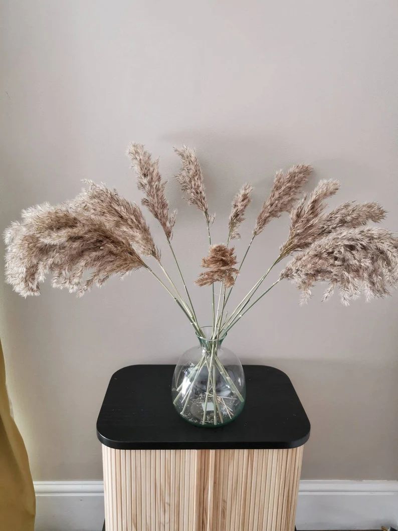 A beautiful bunch of 10 stems of  mini dried  pampas grass | Etsy | Etsy (UK)