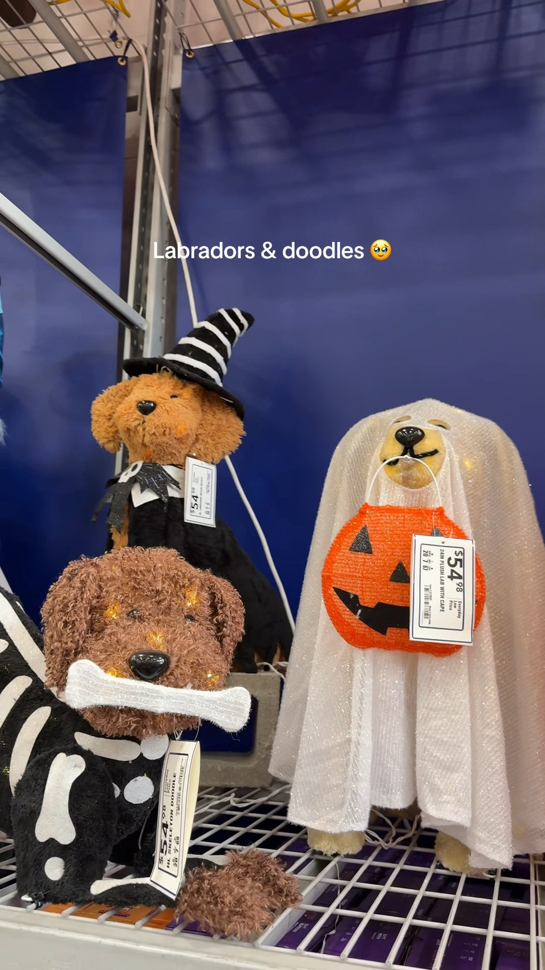 Dog moms & dads RUN don’t walk!!! The cutest dog Halloween decorations 🎃

#LTKPets #LTKSeasonal #LTKFamily