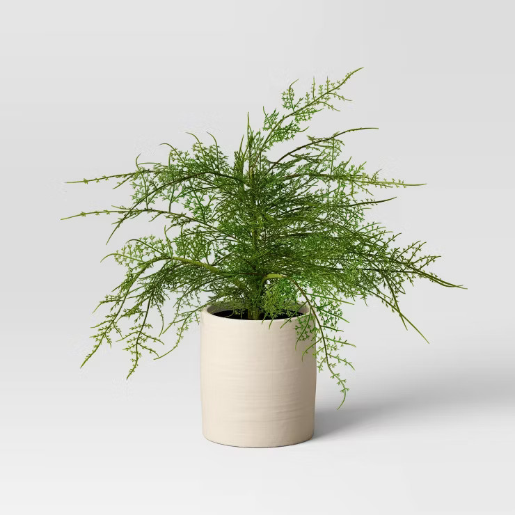 Large Asparagus Artificial Fern Leaf in Pot - Threshold™ | Target