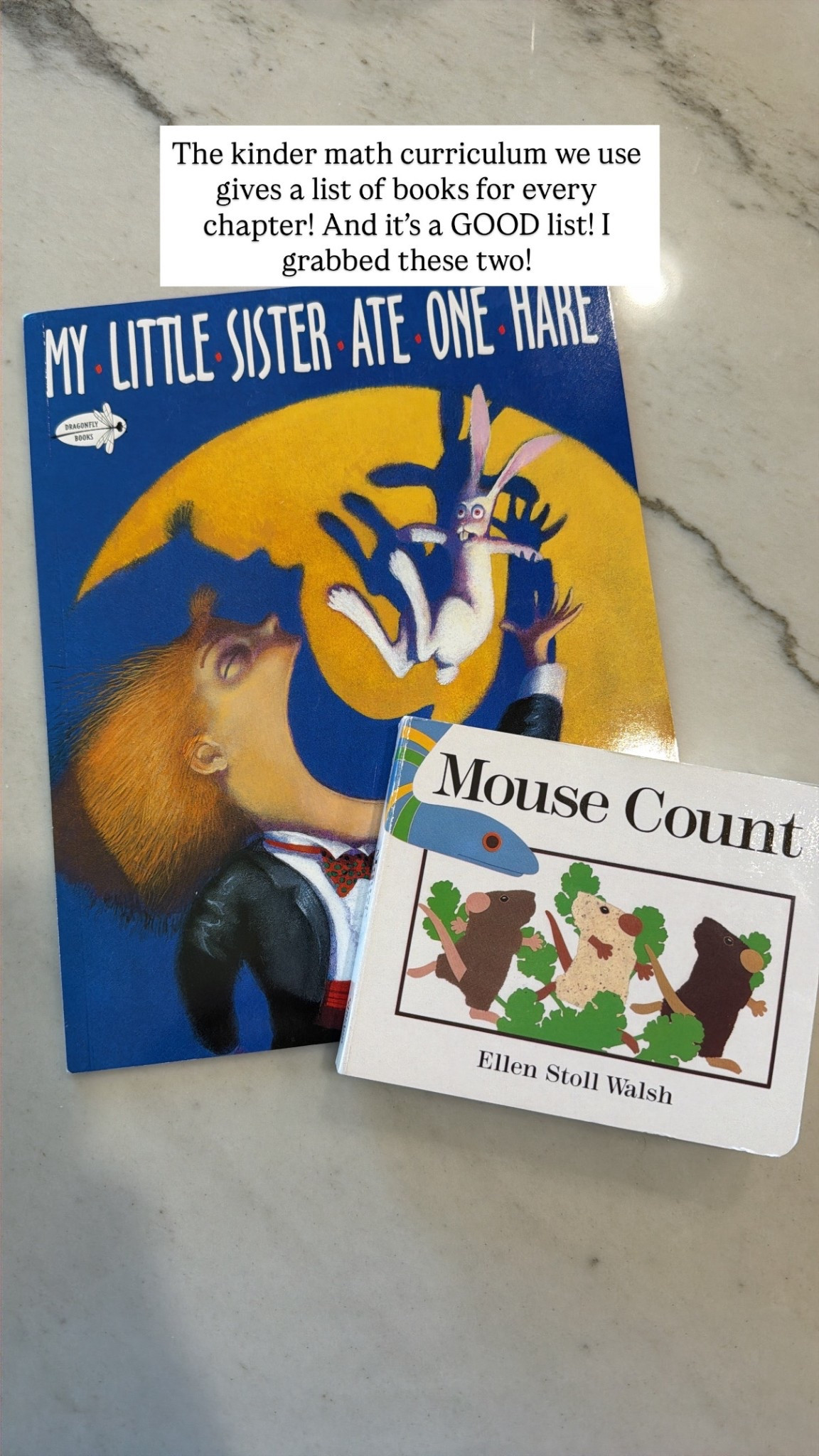 Books for numbers to 10!



#LTKKids #LTKBaby #LTKHome