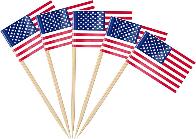 AhfuLife American Flag Toothpick, 100 Pcs America Toothpick Flag for 250 Years Anniversary - 4th ... | Amazon (US)
