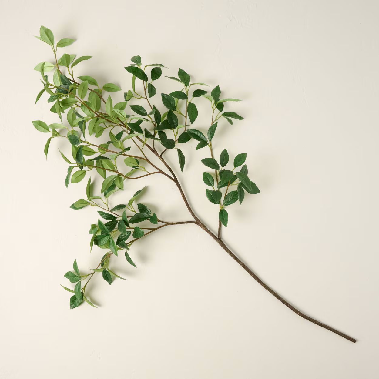 Oversized Leaf Branch | Magnolia