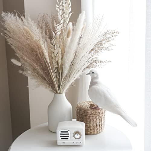 Calliope Creations - Dried Pampas Grass | Premium Dried Bouquet with Naturally Dried Pampas | Long-L | Amazon (US)