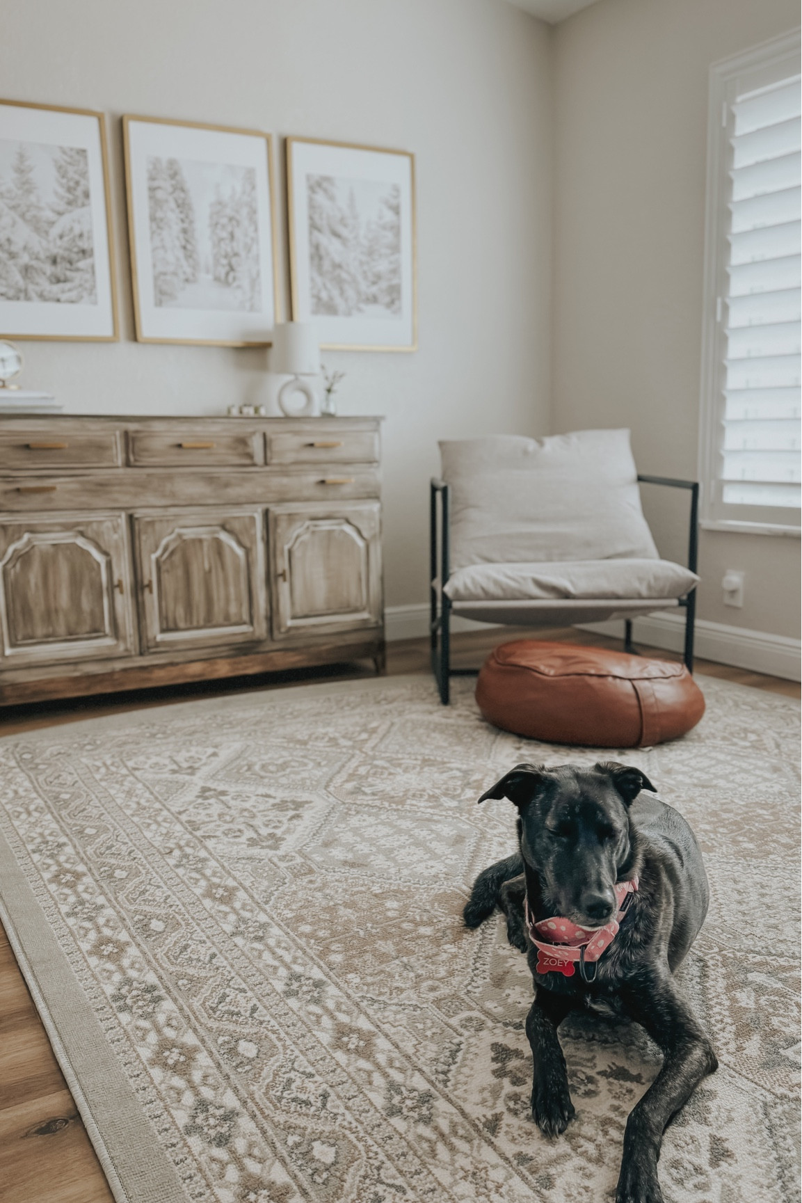 Living room decor and furniture  

#LTKSeasonal #LTKhome #LTKstyletip