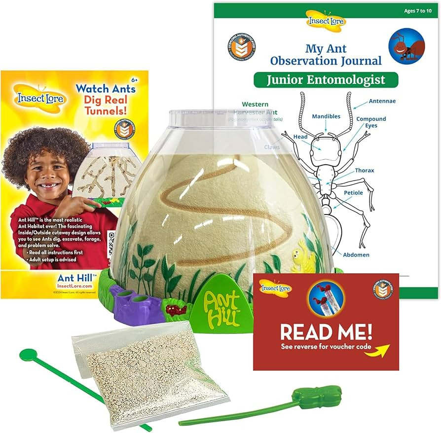 Insect Lore Ant Hill - Ant Habitat with Voucher to Redeem Live Western Harvester Ants - STEM Lear... | Amazon (US)