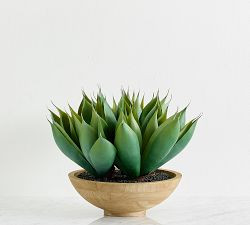 Faux Composed Spike Aloe Plant In Wooden Pot | Pottery Barn (US)