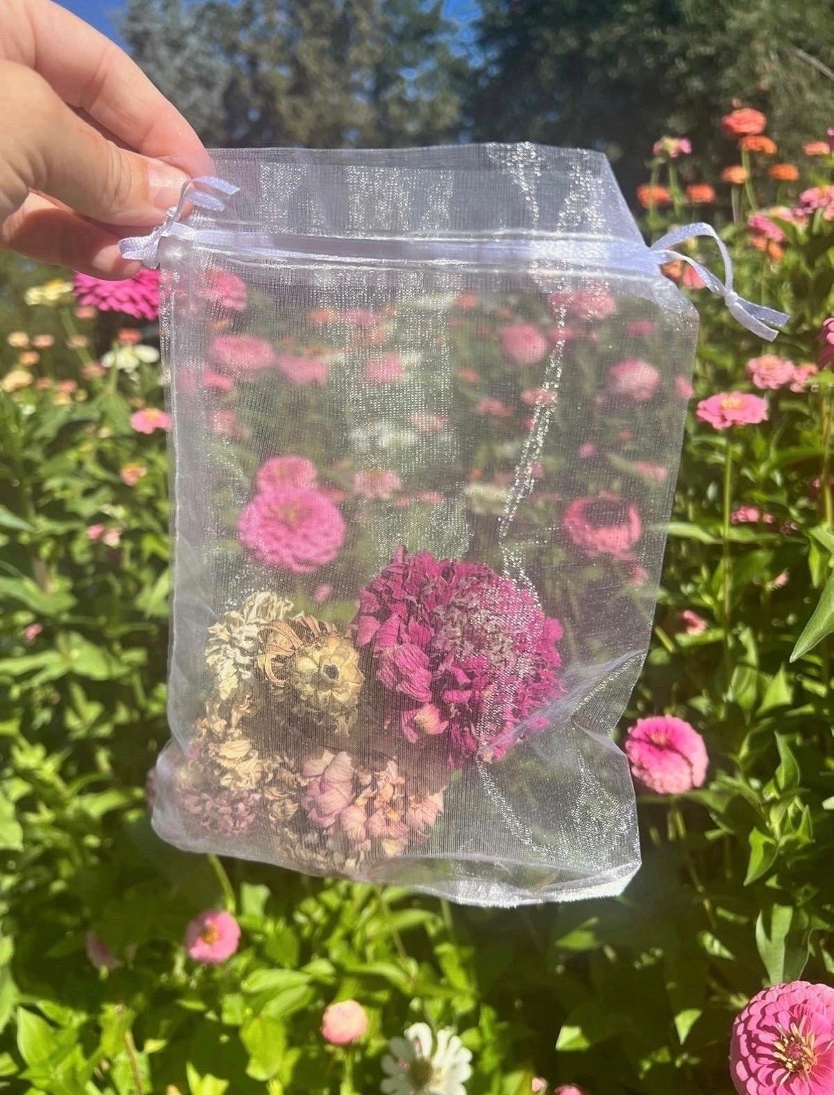 These are the little organza bags I like to use when I’m saving my favorite blooms. 🌸

#LTKHome #LTKSeasonal #LTKSaleAlert