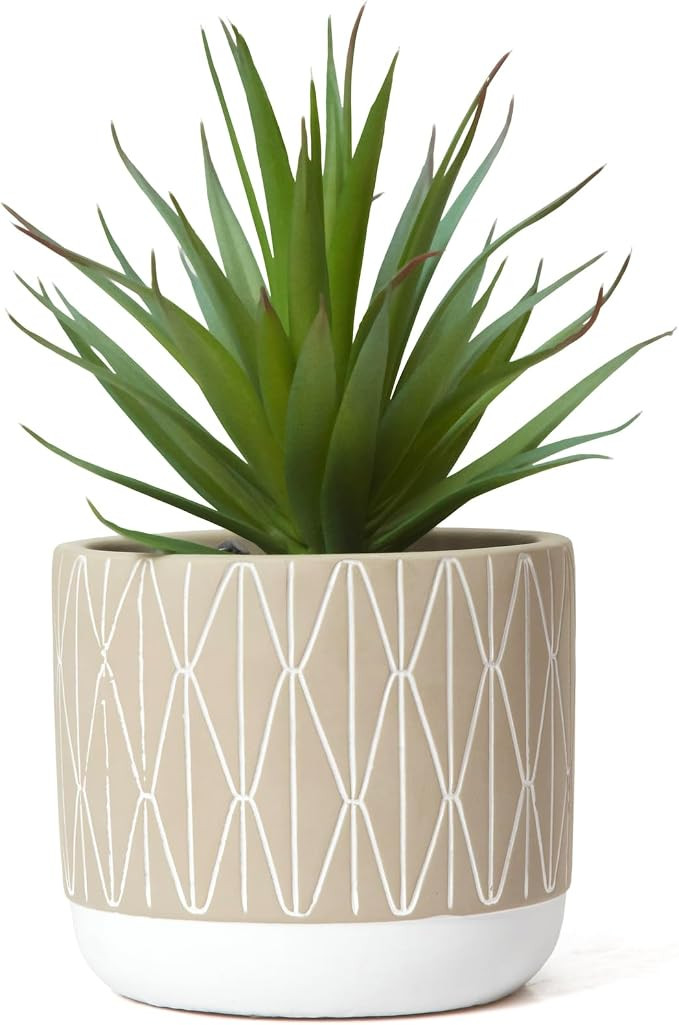 Kurrajong Farmhouse Artificial Plant in Pot - 8" high Small Faux Plant for Desk, Bathroom, Shelf ... | Amazon (US)