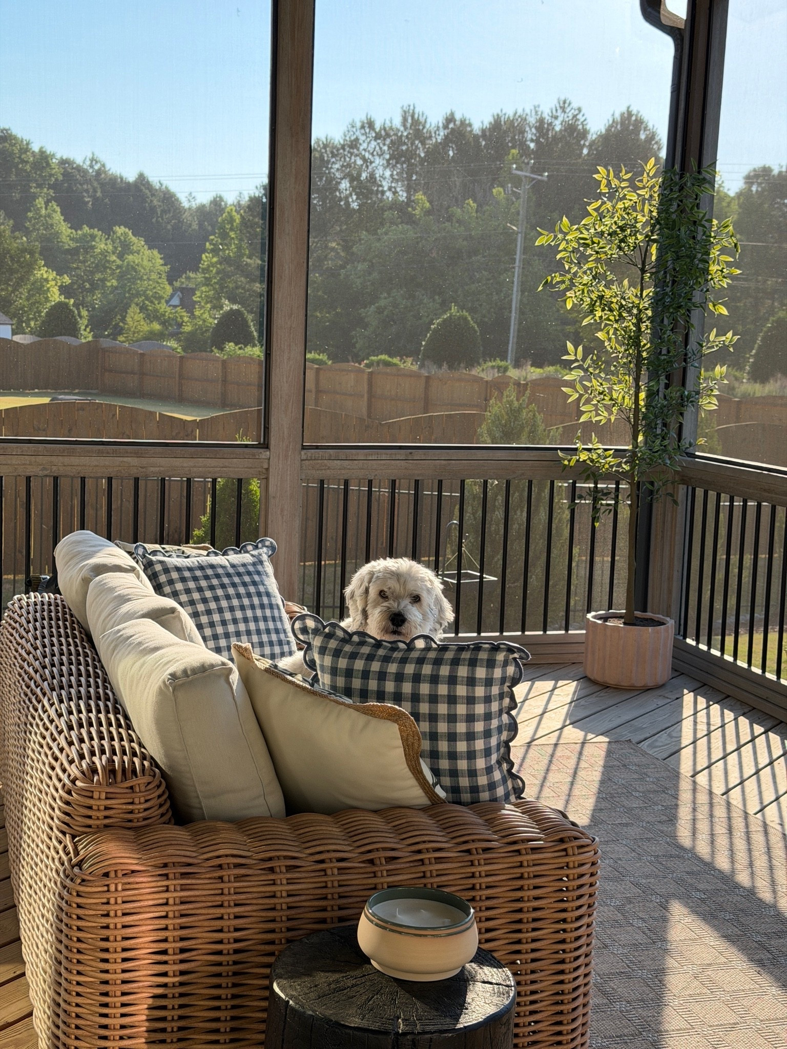 Outdoor porch is coming along🤍 would link the dog if I could cause he’s the BEST!

#LTKHome #LTKSeasonal #LTKSaleAlert