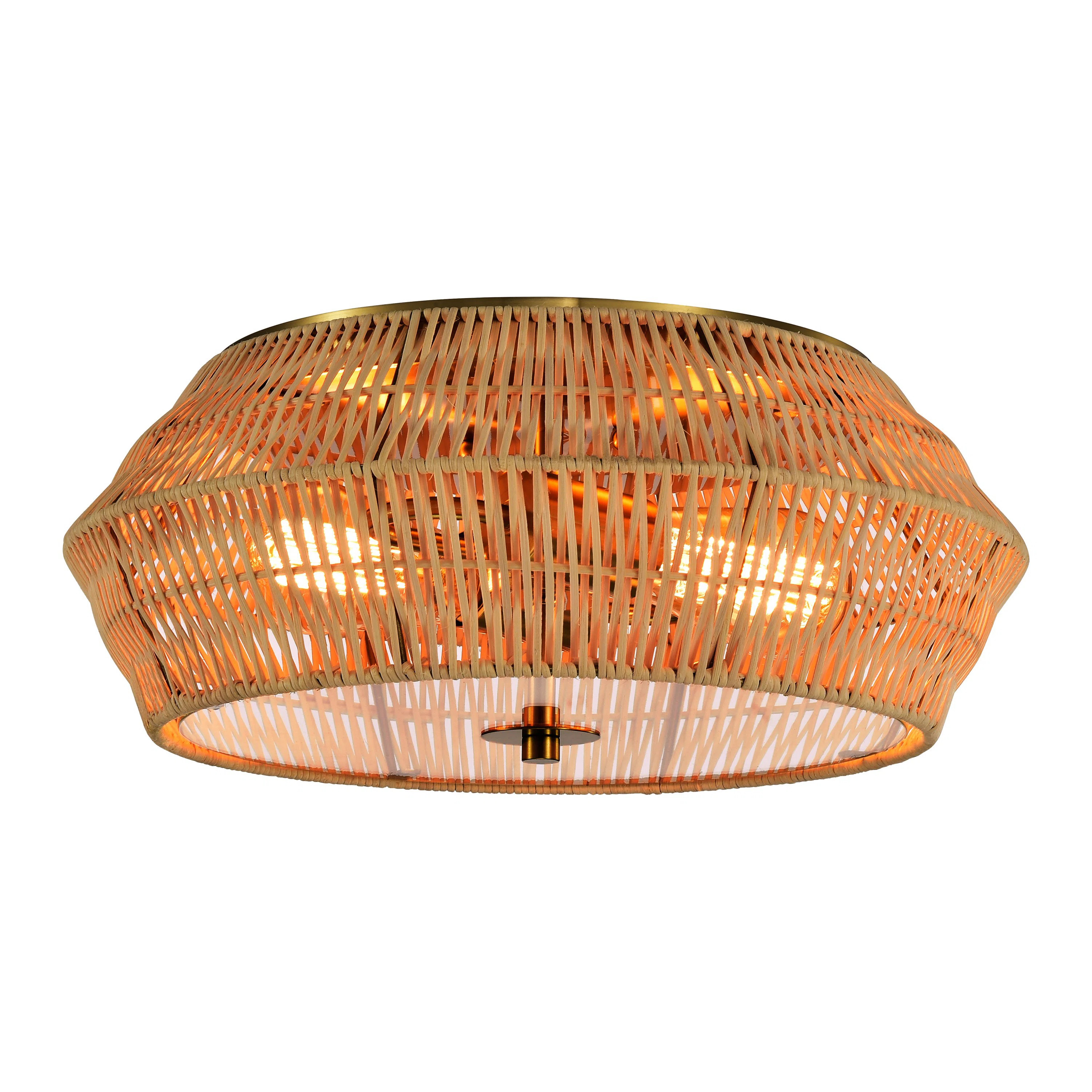 Robert 2 - Light 15.25'' Caged Drum Flush Mount | Wayfair North America